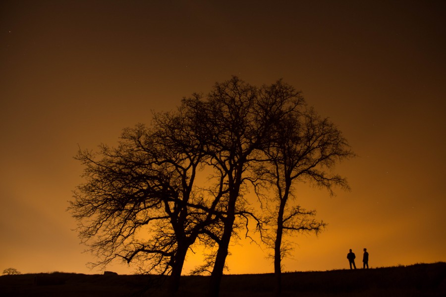 campo, árvores, ninguém, pôr do sol, silueta, sombra, escuro, árvore, laranja, céu, pôr do sol, pôr do sol, duas pessoas, pessoas, homem, rural,