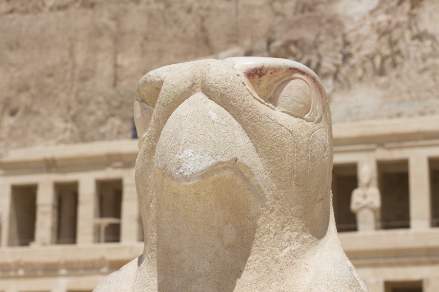 horus, estátua, egito, templo, ruínas, ruína, faraó, deus, mitologia, sepultura, história, egito, antigo, egito,