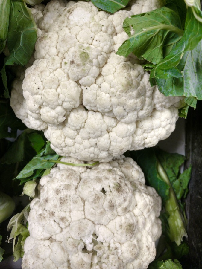 couve flor, legumes, verdureiro, comida saudável, comida, nutrientes, legumes, vegetal, orgânico, vegetal