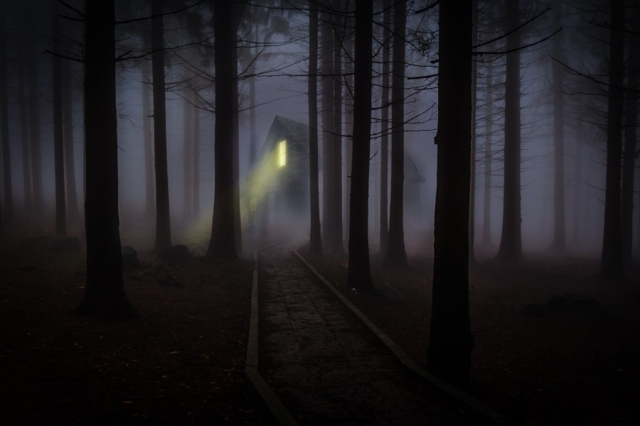 Névoa, mistério, floresta, casa, escuro, halloween, luz, ninguém, noite, noite,