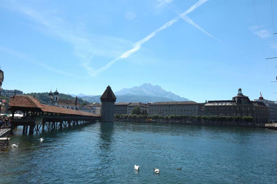 ponte, edifícios, lago, cisne, cisnes, suíço, lago suíço, suíça, árvores, água