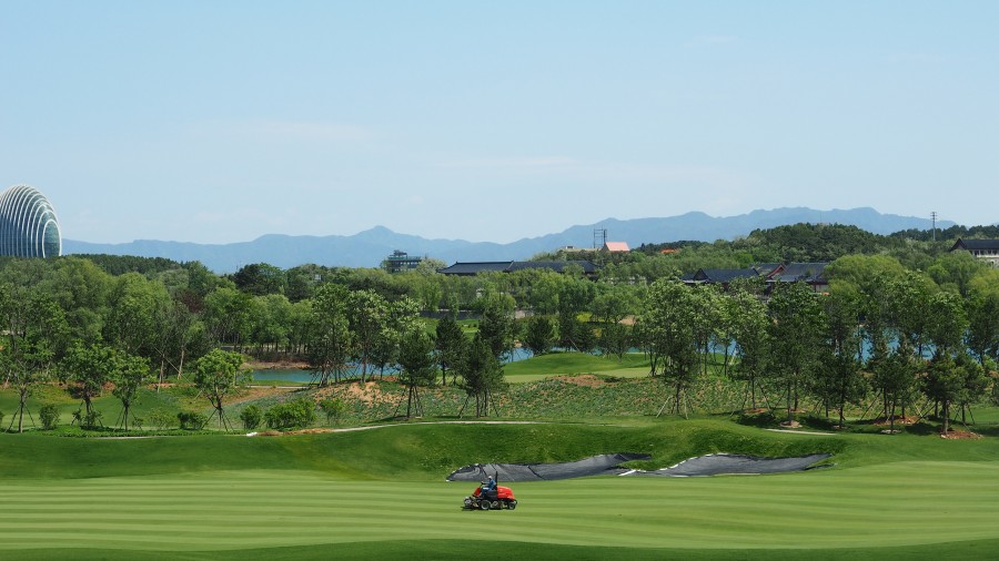 campo, golfe, cortador de grama, gramado, corte, uma pessoa, pessoas, homem, atividade, exterior,