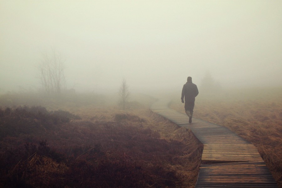 uma pessoa, homem, correndo, correndo, esportes, nevoeiro, cedo, manhã, amanhecer, neblina, campo, ao ar livre, atividade, saúde,