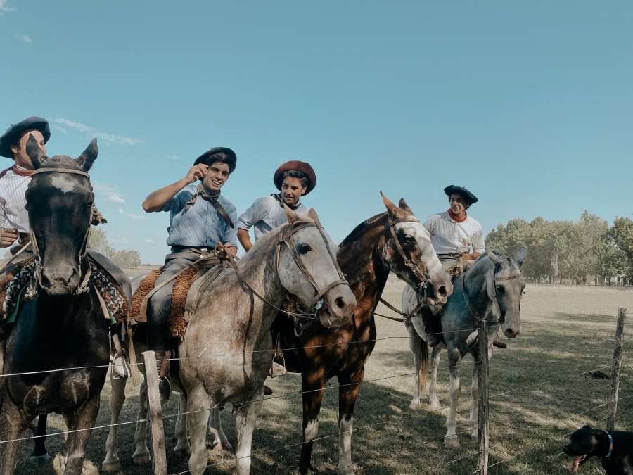 campo, persona, al aire libre, animal, naturaleza, vaquero, hombre, granja, mamífero, Argentina, America, gaucho, rural, paisaje, equino, equitación, sur, ecuestre, Entre rios, fondo, jinete, caballo, nacional, jinete, paseo , tradicion, obrero, disfraz, manada, peón, campo, trabajo, ganado, rancho, gente, Campo, Sudamerica, tradicional, Ganado domestico, lado de caballo, cultura, estable, bovino, agricultor, cerca, sombrero, agricultura, hombres, argentino , árbol
