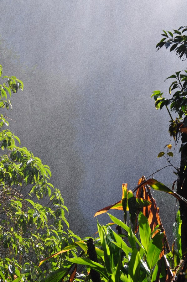 Argentina, Misiones, Iguazu, Parque Nacional, Cataratas do Iguaçu, Brasil, Água, Selva, Local turístico, Turismo, Umidade, Verde, Natureza, Chuvisco, Vegetação,