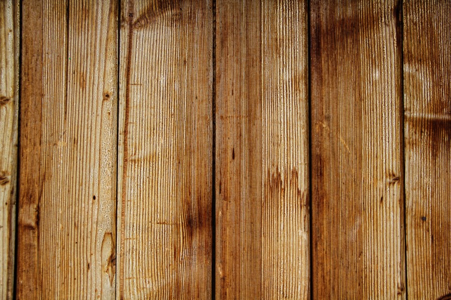 fundo, fundo, madeira, ninguém, primeiro plano, textura,