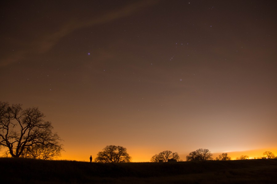 campo, árvores, pôr do sol, silueta, sombra, escuro, árvore, laranja, céu, pôr do sol, pôr do sol, uma pessoa, pessoas, pequeno, minúsculo, estrelas, paisagem,