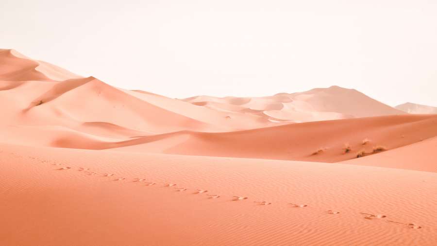 deserto, areia, natureza, viagem, ao ar livre, duna, paisagem, plano de fundo, dunas, turismo, bela, céu, cênica, verão, horizonte, vista, pôr do sol, nascer do sol, natural, água, África, seco, nuvens, cativante, clima, quente, incrível, panorama, relaxamento, feriado, sol, banho de sol, longo, dia, sem pessoas, calmo, encantador, ensolarado, copyspace,
