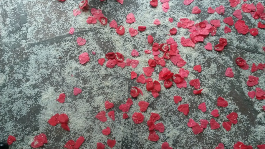 Casamento, pétalas, rosa, arroz, celebração, civil, evento, conceito, longo, viver, a, noiva noivo