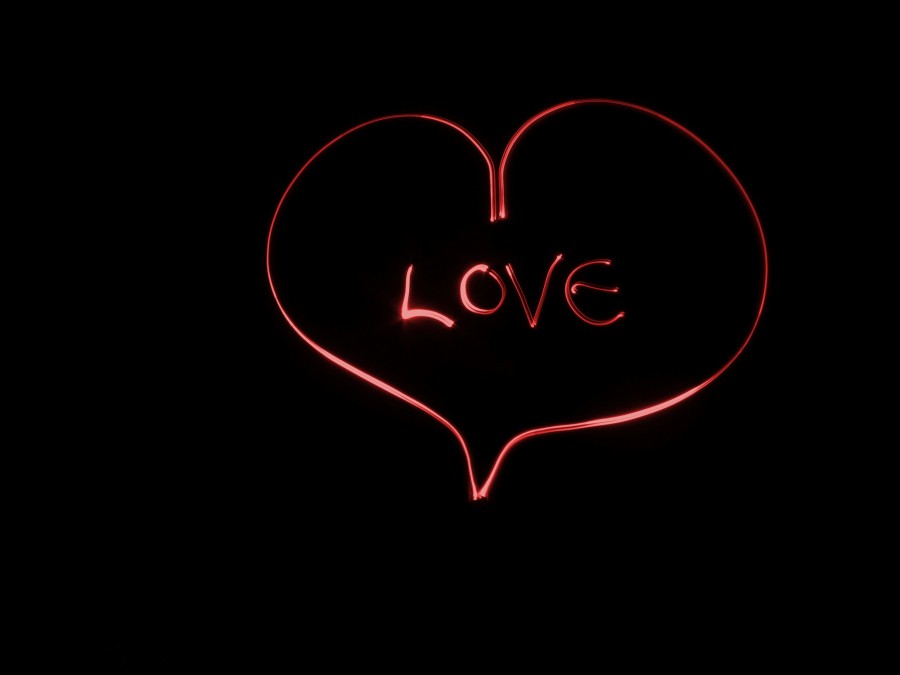 amor, amor, paixão, amantes, amor, amor, coração, vermelho, fundo branco, imagens de amor, imagens de amor, papéis de parede de amor, papéis de parede de coração, corações, imagens românticas, amo imagens de hd, imagens de amor bonito para celular