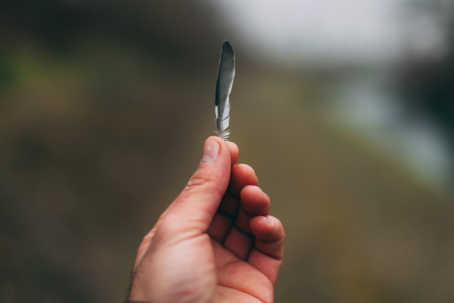caneta, mãos, luz, conceito, segure, natureza,