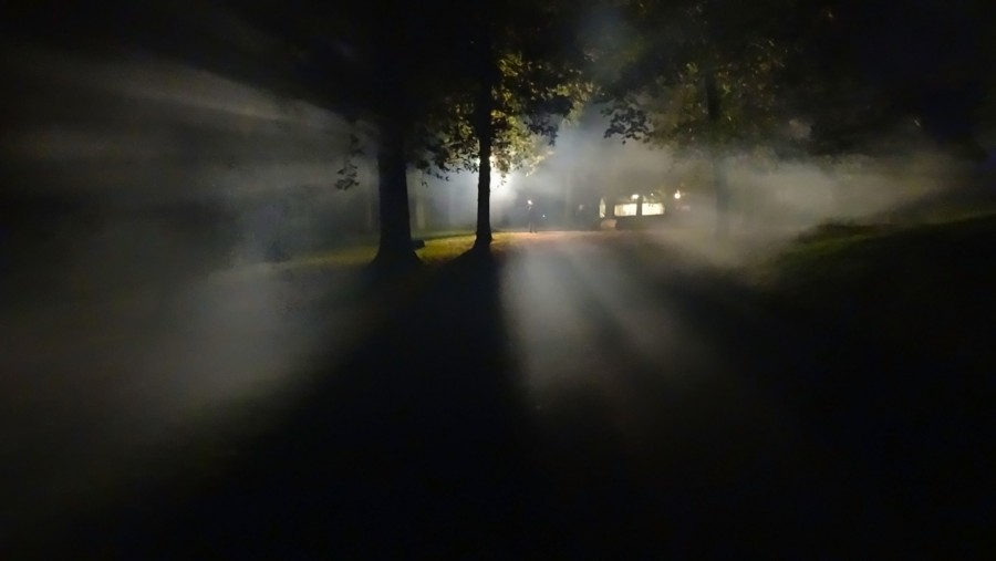Nevoeiro, noite, noite, floresta, luz, místico, esotérico, mistério, luz, ufo, medo, ninguém, aparência, fantasma, desconhecido,