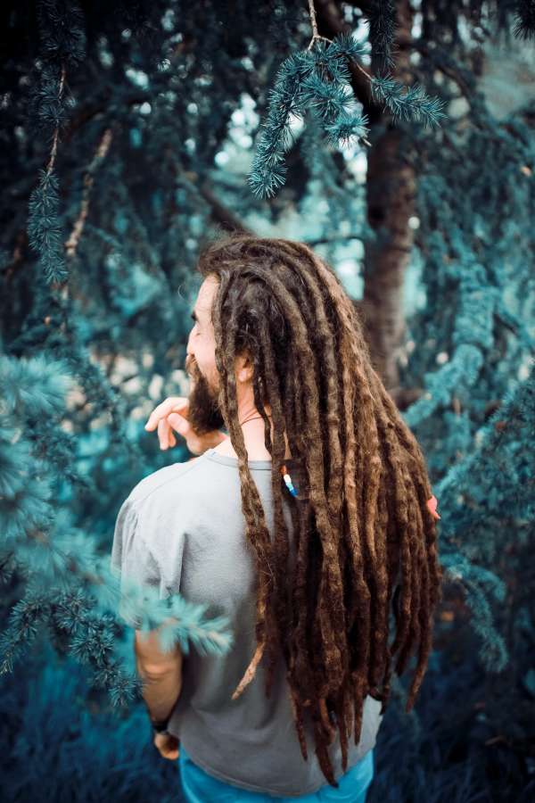 Homem, natureza homem, retrato, adulto, rasta, dreadlocks, exterior, natureza, floresta, andar, dia, alegres, felizes, felicidade, outdoors,