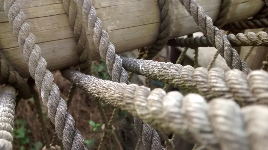 corda, cordas, corda, força, madeira, tronco, agarrar, amarrar, amarrado, forte, conceito,