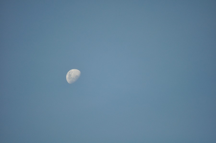 céu azul, lua, satélite,