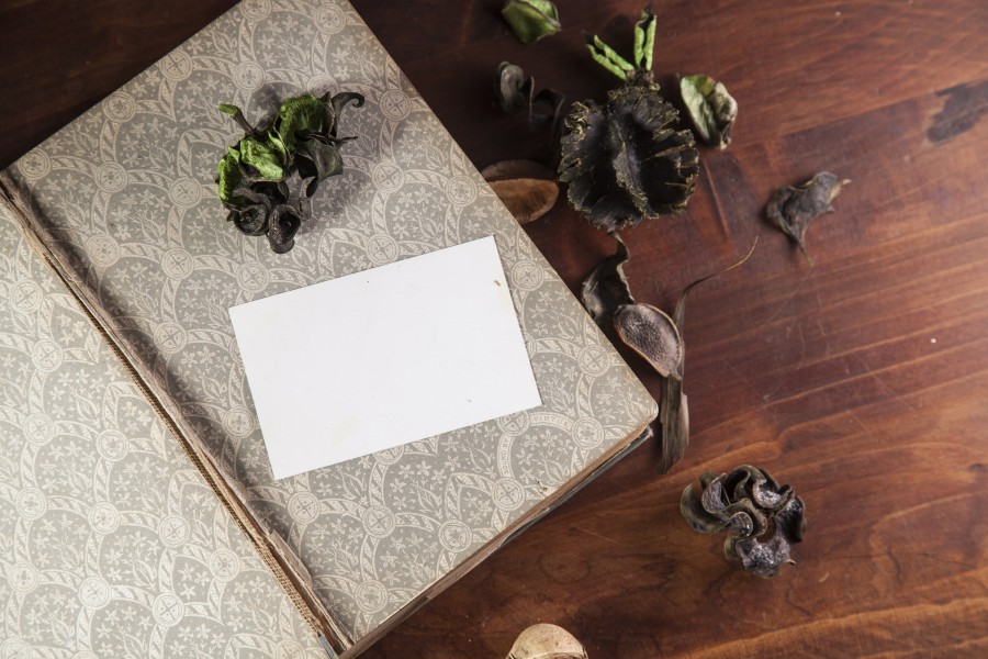 diário, velho, vintage, letter, notepad, notepad, paper, bran, empty, antecedentes,