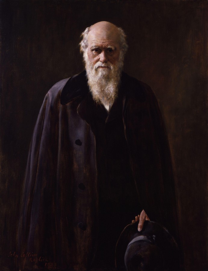 Charles Darwin Charles Darwin, ciência, evolução, cientista, 1800, personalidade,