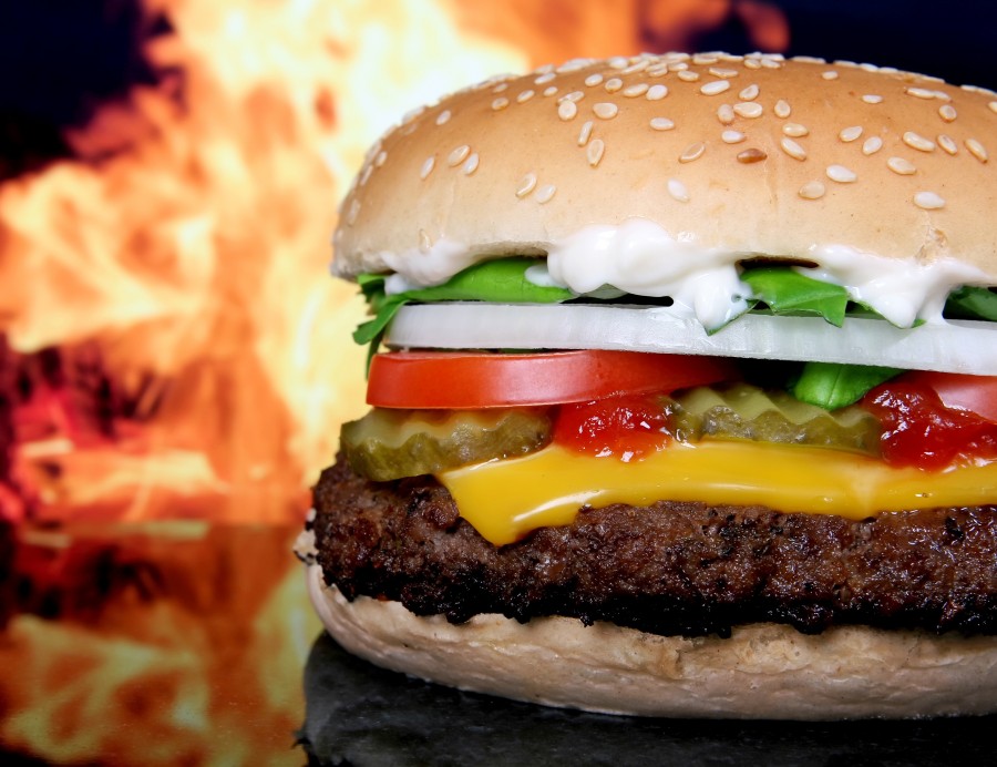 hambúrguer, queijo, fogo, conceito, fast food, carne, prato, refeições, queijo cheddar,