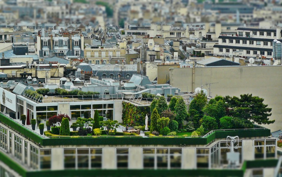 terraço, cidade, arquitetura, urbano, paisagem urbana, telhado, jardim, árvores, tilt shift,
