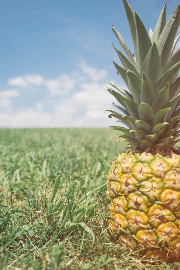 abacaxi, frutas, frutas, frescas, tropicais, refeições, anana, maduro, maduro, close-up,