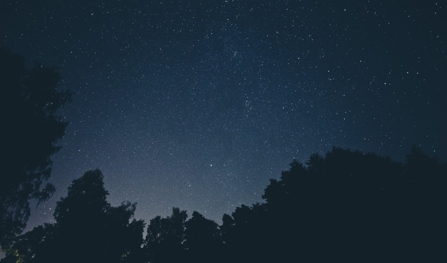 noite, crepúsculo, paisagem, estrela, estrelas, escuro, escuridão, noite, floresta, céu, cosmos,