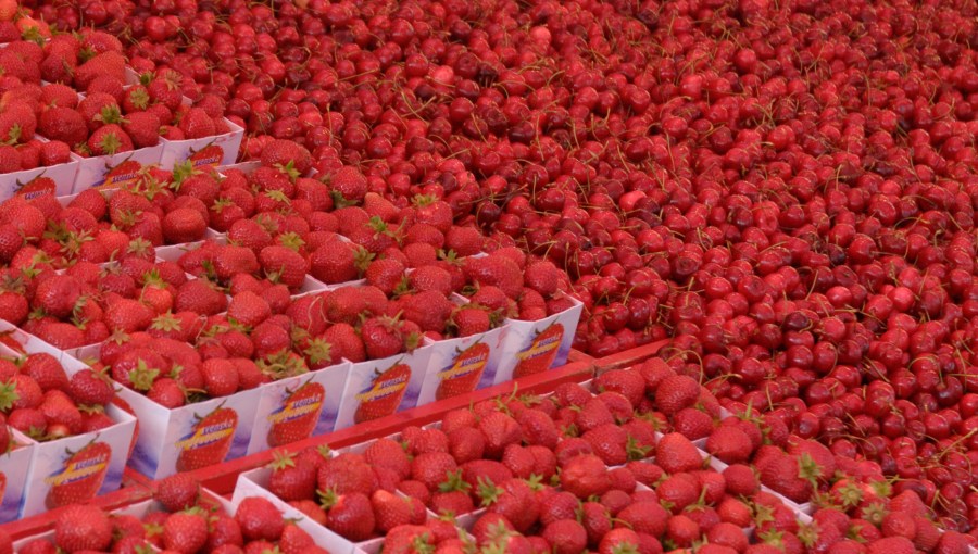 Estocolmo, Estocolmo, Suécia, Svenska, Suécia, frutas, frutas, mercado, mercado, vermelho, vermelho, podre, cerejas, cerejas, morangos, morangos, frutas, fundo, fundo,
