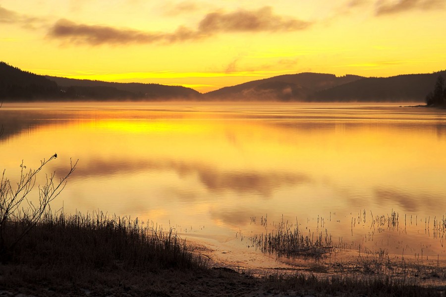 nevoeiro, névoa, lago, crepúsculo, madrugada, alemanha, europa, dia, paisagem, schluch,