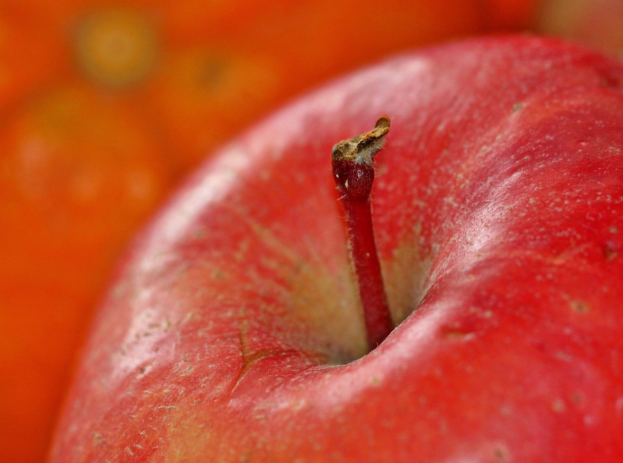 maçã, vermelho, close-up, detalhe, frutas, capa