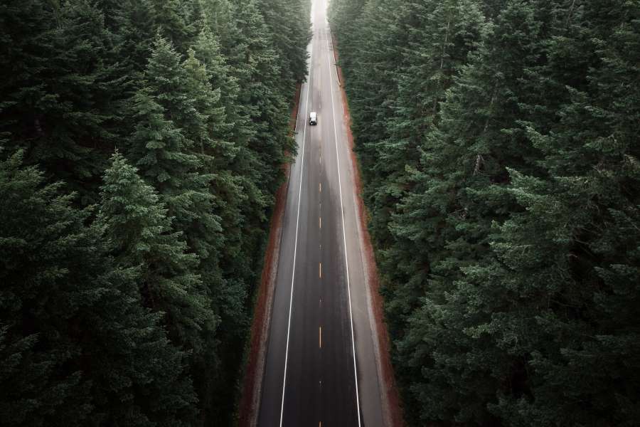 carro, floresta, drone pov, sobrecarga, pinho, carro, condução, estrada, planalto, canadá, dia,
