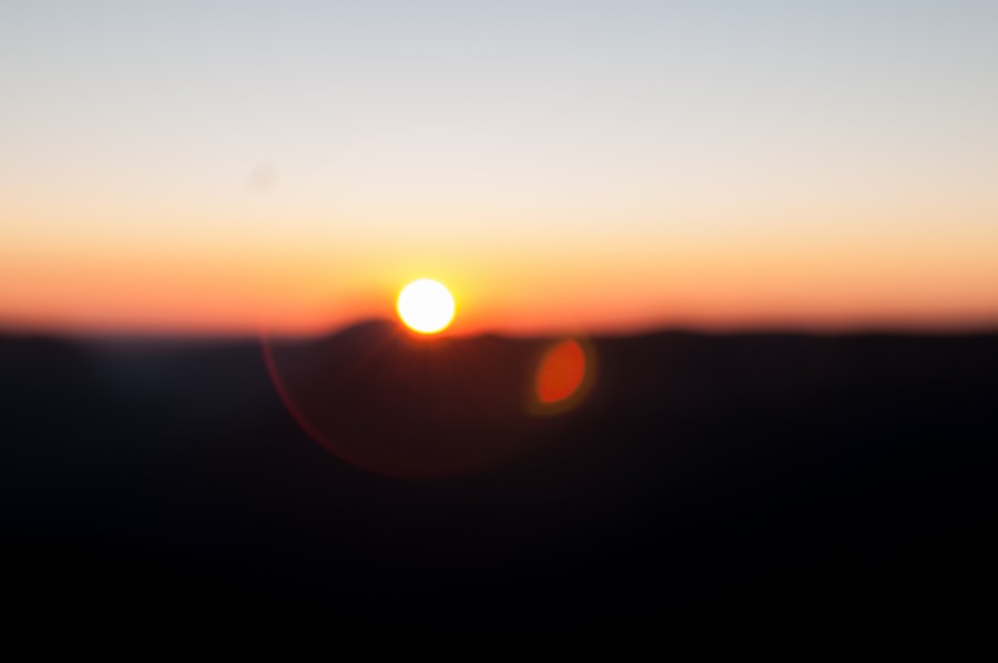 Bokeh, Sunset, Árvores, resumo, plano de fundo, casca, mancha, marrom, floresta, paisagem, perda de luz, luz, natural, natureza, céu, sol, nascer do sol, textura, madeira,