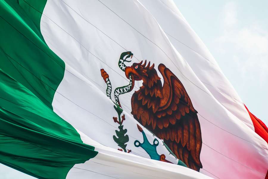 bandeira, méxico, escudo, águia, detalhe, vento, símbolo