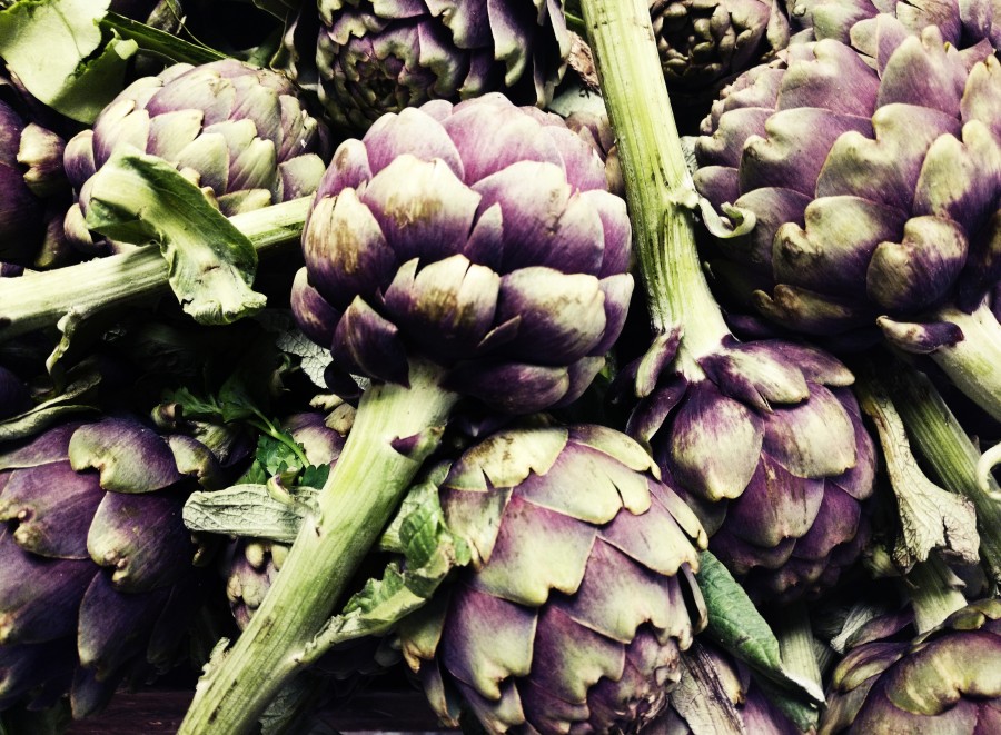 alcachofra, alcachofra, legumes, alimentos saudáveis, orgânicos, verdureiro, legumes, nutrientes, legumes, vegetal