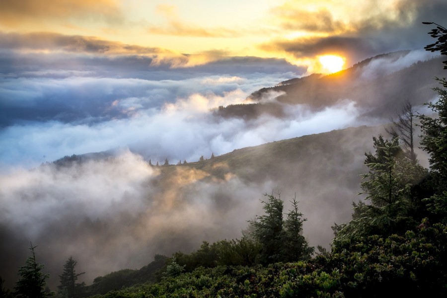 pôr do sol, pôr do sol, pôr do sol, amanhecer, neblina, nevoeiro, montanha, montanhas, paisagem, dia, floresta