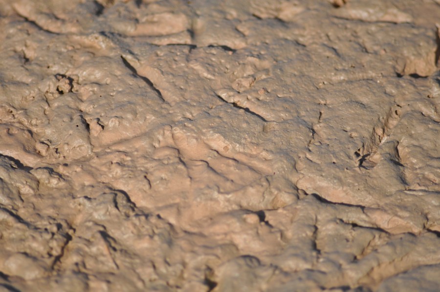 Textura, Texturas, Terra, Seca, Batata frita, Rachada, Clima árido, Terrain, Marrom, Rachada, Paisagem árida, Planos de fundo, Seca