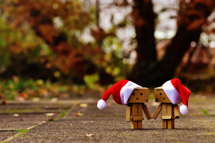 danbo, natal, figura, juntos, nas mãos, amor, amor, união, para duas pessoas, engraçado, figuras, amizade, dia dos namorados, conectividade, doce, chapéu de papai noel, natal, abetos, neve, bonito, advento, contemplativo, contemplação, festival, presentes, enviar, pacotes, feito
