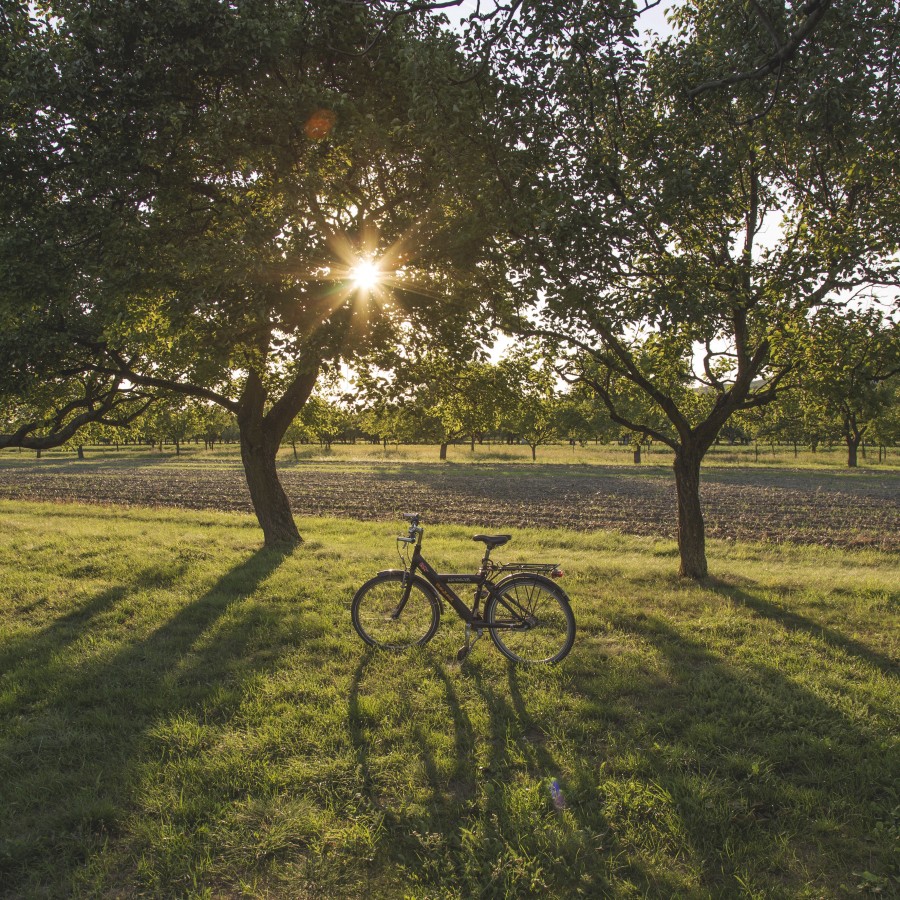 bicicleta, campo, pôr do sol, ao ar livre, exterior, sunbeam, nobody,