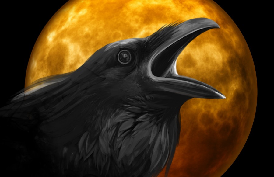 corvo, ilustração, dia das bruxas, terror, medo