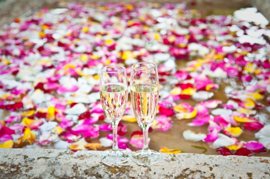 Brinde, Copa, óculos, vidro, celebração, casal, comemorar, aniversário, amor, conceito, pétala, pétalas, colorido, dois, celebração, alegria, brinde, champanhe, bebida alcoólica,