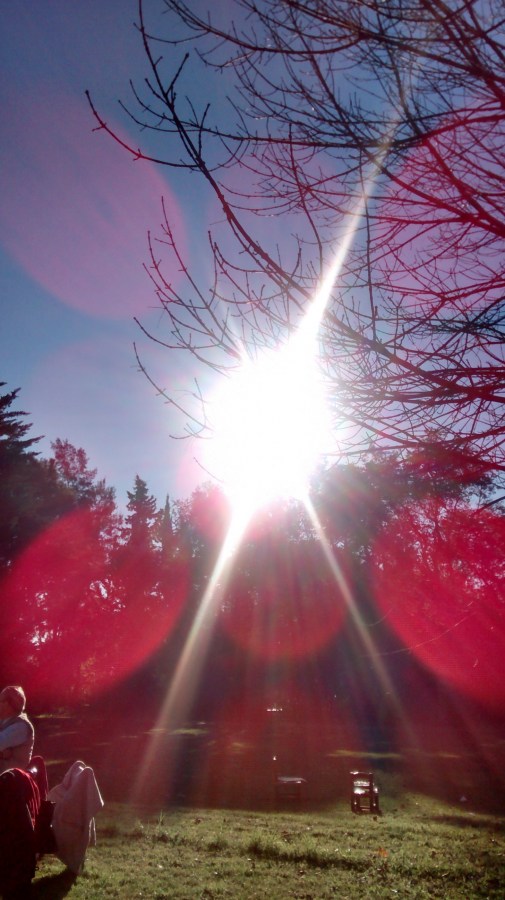 verão, paisagem, jardim, exterior, sol, reflexão, pôr do sol, dia, relâmpago, verde, idílico,