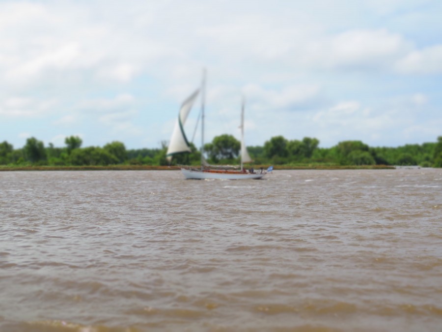 veleiro, rio, costa, vela, américa latina, argentina, buenos aires, bote, vela, vento,
