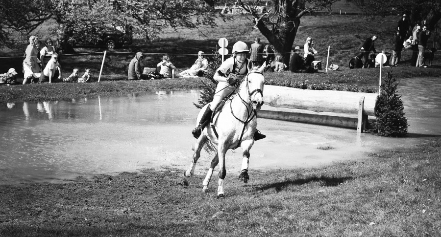 Ed Gregory, evento, menina, mulher, corrida, equitação, cavalo branco, preto e branco, animais de competição, ensaios equestres cavalo, esportes, polo,