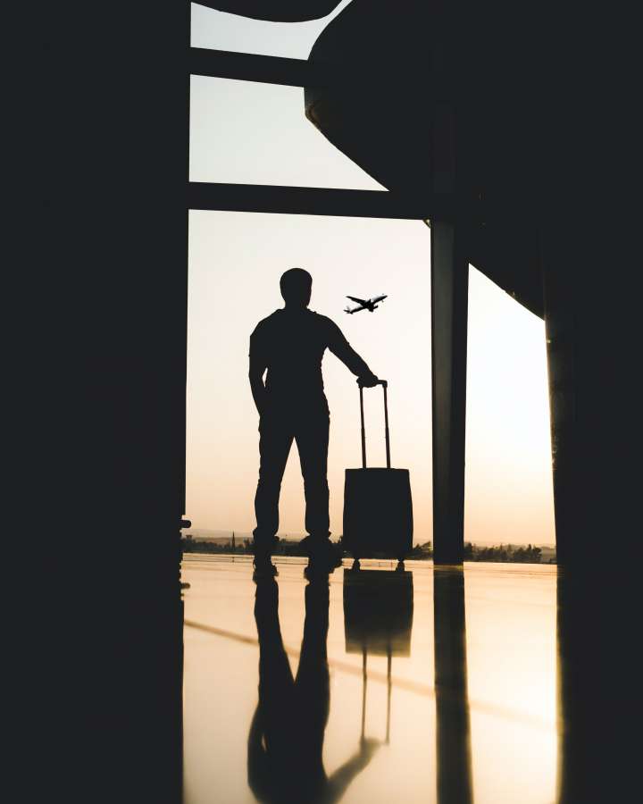 aeroporto, viagem, mala, passageiro, bagagem, silhueta, negócios, homem, bagagem, pessoas, terminal, viajante, pessoa, bolsa, partida, transporte, internacional, transporte, voo, férias, viagem, turista, turismo, avião, homem, chegada, janela, empresário, viagem, estilo de vida, passeio, espera, estação, caso, férias, avião, ar, aeronaves, símbolo, ilustração, vetor, caminhando, trânsito, verificar, lazer, conceito, dentro, profissional, portão, embarque