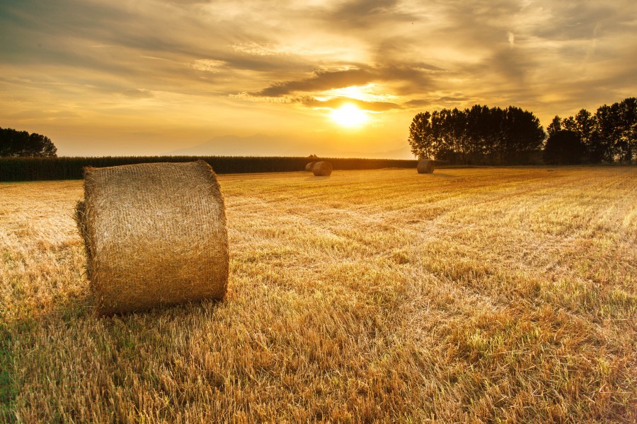 splitshire, natureza, campo, cena rural, fardo de grama, seco, fardo, rolo, pôr do sol, pôr do sol, pôr do sol,