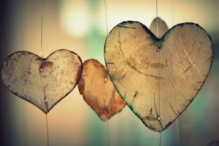 madeira, decoração, pingente, corações, tronco, formas, borrão, ornamento, romântico, amor, ternura, concurso, doce, doçura, dia dos namorados, dia dos namorados, coração, amor imagens, amor imagens amorosas, imagens românticas, imagens de amor livre, se apaixonar, namorada, namorado, namorados, papéis de parede de amor, wallpapers de coração de hd, wallpapers hd, amor imagens de hd, imagens de amor concurso para celular, imagens de amor