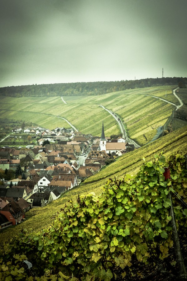 Anbau, Berg, Bocksbeutel, Garrafa, Fre, Gourmet, Principais, Kulinarik, Principal, Escadas, Nordheim, Rebbe, Rebstock, Tal, Turismo, Vogelsburg, Vinhos, Weinbaugebiet, Weinfest, Weinstube, Vinhos, Winzer, Waststurbe, Winzer, Wurtsturbe, Winzer, Wättstur Franken, Genuss, Oberfranken, Wandern, Wirtshaus, Alemanha, Europa, Vinhedo,