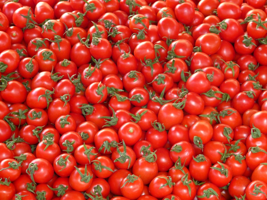 tomate, pequeno, mercado, alimentos, vermelho, colheita, fundo, muitos, vibrante, agricultura, dieta, orgânico, frutas, vegetal, saudável, brilhante, textura, vitaminas, cor, fim, fresco, nutrição, natureza colheita, refeições, cereja,