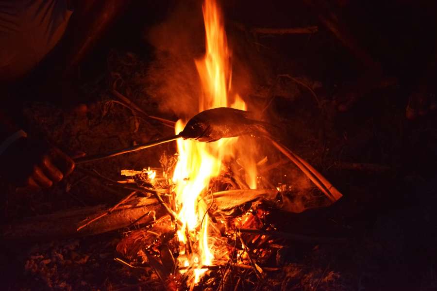 cozinhar, peixe, comida, fogueira, ao ar livre, fogo, quente, madeira, cozinhar, grelha, fumaça, natureza, churrasco, chama, calor, refeição, fresco, piquenique, saudável, verão, jantar, saboroso, acampamento, delicioso, férias, churrasco, truta, carne, grelhados, assado, mar, closeup, filé, gourmet, almoço, grelhados, preto, comer, natural, floresta, turismo, lenha, queimar, assado, sopa, dieta, cozinha