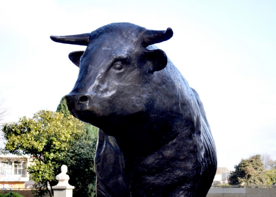 touro, estátua, ferro, osorno, chile, dia, animais plaza de armas, plaza,