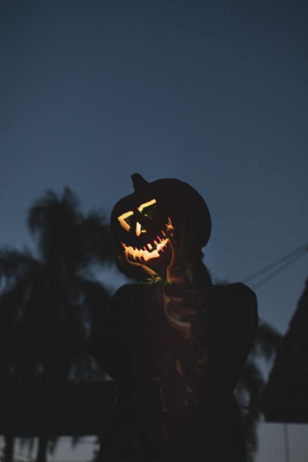 dia das bruxas, horror, plano de fundo, feriado, assustador, assustador, noite, abóbora, celebração, escuro, design, outono, silhueta, mal, medo, preto, lua, cartão, vetor, mistério, festa, morcego, lanterna, símbolo, banner, cartaz, outubro, conceito, feliz, assustador, aranha, completo, decoração, elemento, web, deleite, gráfico, laranja, cemitério, saudação, truque, arte, túmulo, fantasma, sinal, folheto, convite, cemitério,