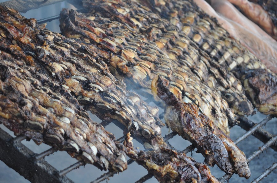 Assado, Grelha, Grelha, Comida Típica, Tradição, Campo, Carne, Costela, Ribs, EmbersCozinhado, Quente, Gordura